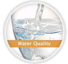 Water Quality